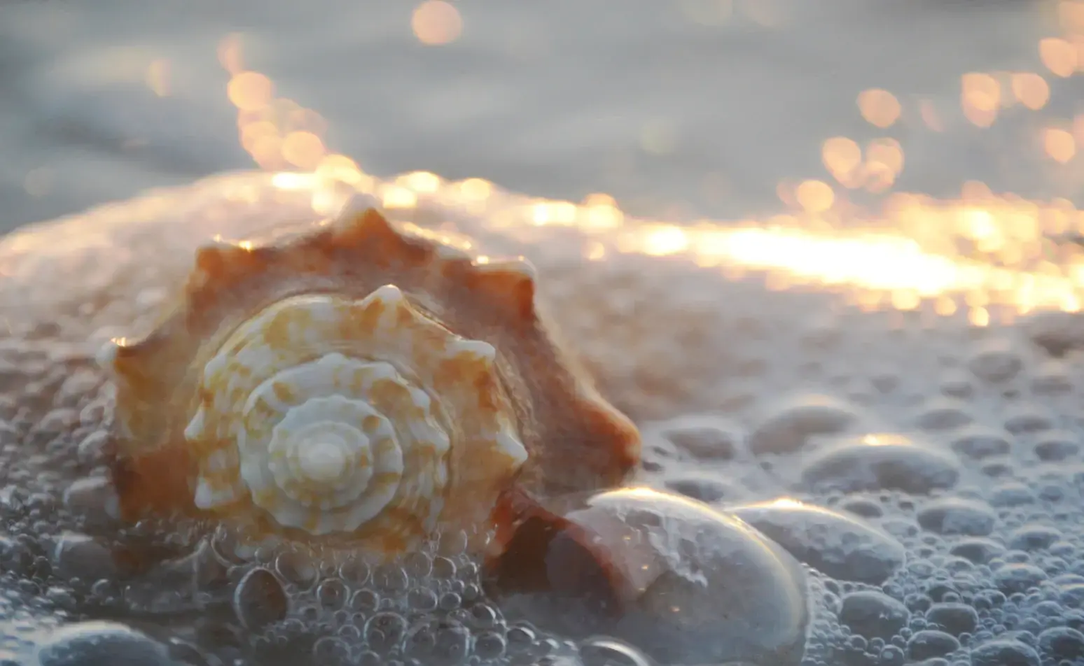 Beautiful Coastal Home - Your Dream Awaits